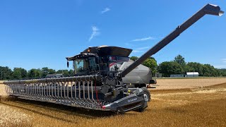 Harvesting wheat with a Gleaner s97  Big Day [upl. by Samul]