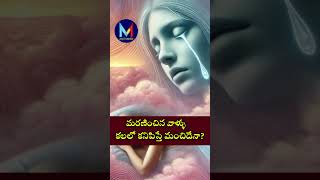 మరణించిన వాళ్ళు కలలో కనిపిస్తే మంచిదేనా  interestingfacts my3media viralvideo viralshorts [upl. by Asetal110]