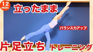 【立ったままできる】片足バランスと姿勢も良くなる！体幹を使った片足バランスのトレーニング【バランス力アップ】 [upl. by Stavro507]