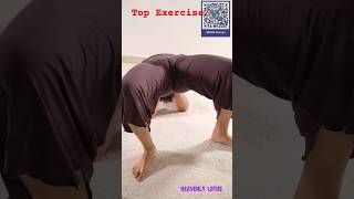 Flipping my dog 🤸‍♀️ yoga downwarddog threeleggeddog bridge balanceshorts [upl. by Par]