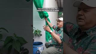 Correct Way of Watering House Plants  How to Water Plants [upl. by Wivestad]