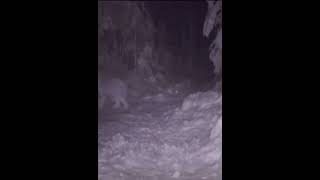 Bobcat vs Coyote on Trail Cam wildlife trailcam nature newhampshire [upl. by Yniatirb119]