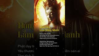 Dòng Đời Lắm Mong Manh kinhphat dongluccuocsong phatphaptutam [upl. by Nuahsar]