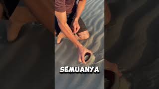 Bagaimana Memancing Magnet Di Padang Pasir crafterduck TT shortvideos [upl. by Mahan]