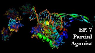 7 Partial Agonist  Molecular Pharmacology [upl. by Balac675]