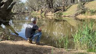 Fishing Victoria Campaspe River Elmore RedfinYellow belly Murray Cod GPS location [upl. by Keraj774]