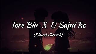 Tere Bin X Sajni Re  Atif Aslam  Arijit Singh  2024 song [upl. by Tripp]