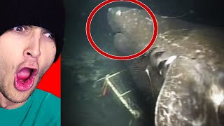 Reacting to MYSTERIOUS SEA MONSTER in REAL LIFE [upl. by Ilecara]