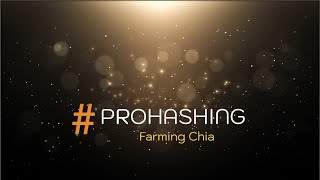 Farming Chia With PROHASHING  See Details for updated farming URL [upl. by Nytram]