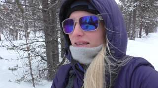 VLOG Mushing with my dogs [upl. by Hild162]