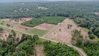 South East Louisiana amp Southern Mississippi Forestry Mulching Brush Clearing and Land Clearing [upl. by Sully]