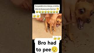 Injections hit different funny bonepain funny pets memes vetinjection [upl. by Natsirc]