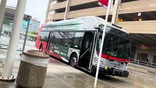 A Tour Of Buses Dunn LoringMerrifield Station Merrifield VA [upl. by Rudie94]