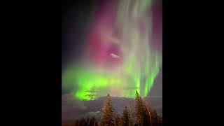 Dancing Skys Aurora Borealis Northern Lights Fort McMurrayaurora northernlights auroramagic [upl. by Airretal]