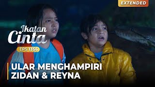 NGERI BANGET Zidan amp Reyna Ingin Digigit Ular  IKATAN CINTA  EPS1356 14 [upl. by Ynobe543]