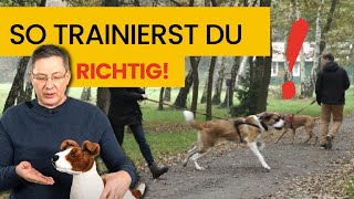 Konfliktfreie Hundebegegnungen Mach DAS NICHT [upl. by Wynn270]