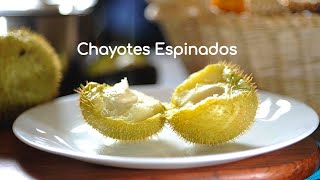 Chayotes con espinas la receta más fácil y nutritiva que puedas imaginar [upl. by Johen]