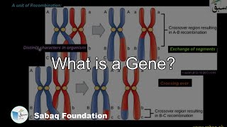 What is a Gene Biology Lecture  Sabaqpk [upl. by Isbella]