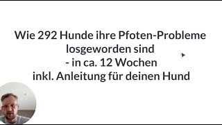 Wie 292 Hunde ihre PfotenProbleme losgeworden sind  eine Fallstudie [upl. by Oicnoel621]