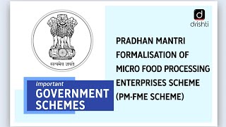 Important Government Schemes  PMFME Scheme [upl. by Seuqirdor]