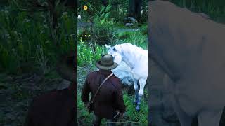 RDR 2  Amazing cinematography Pouring Forth Oil  IV  Part 46 shorts rdr2 reddeadredemtion2 [upl. by Sven]