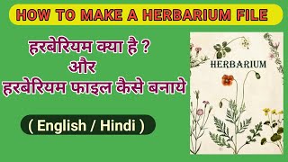 हरबेरियम फाइल कैसे बनाये  how to make herbarium fileHerbarium Sheet [upl. by Ojahtnamas]