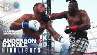 FIGHT HIGHLIGHTS  Riyadh Season Card Jared Anderson vs Martin Bakole [upl. by Noemi619]