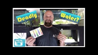 The Silent Killer  Nitrates in Your Fish Tank  What to Do About Them [upl. by Esirahs271]