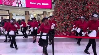 Christmas in Calgary with Cowgirls dancing around the Christmas Tree 🎄 [upl. by Lodhia603]