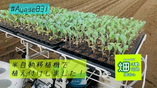 【半自動移植機】ブロッコリー植えました【KP100E】farmers diary No20 [upl. by Tavia]