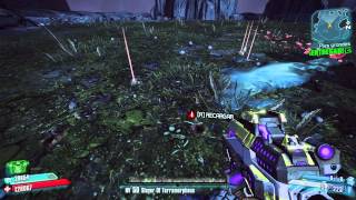 Borderlands2 DLC Sir Hammerlock 5  Pies grandes [upl. by Linders]