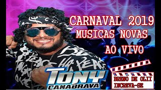 Tony Canabrava CD carnaval 2019 Músicas Novas [upl. by Leorsiy]