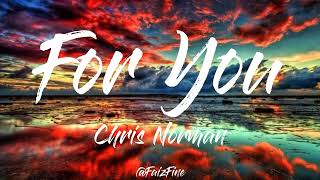 Chris Norman  For You Lyrics [upl. by Adnahsam573]