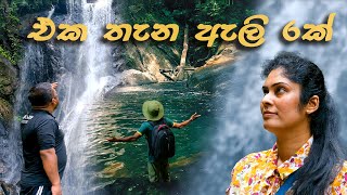 දවසින් ගිහින් එන්න Day Tour to Lankagama Waterfall Paradises Sinharaja Forest [upl. by Lower]