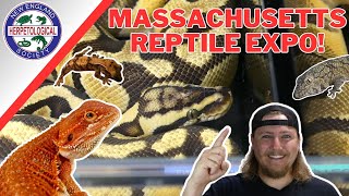 AWESOME REPTILE EXPOThe Massachusetts Reptile Expo [upl. by Nerradal]