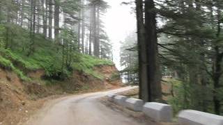 Road Kandaghat  Chail  Kufri [upl. by Coppinger]