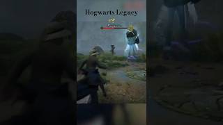 Hogwarts Legacy 🪄 [upl. by Ecnerwal]