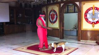 Pujya Swamiji plays with Nerve  its last video21st May 2011 [upl. by Avilla356]