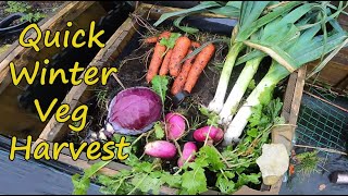 Allotment Diary  Quick Winter Harvest  Testing Manure for Herbicides [upl. by Tzong753]