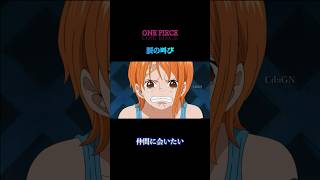 【ONE PIECE】「仲間に会いたい」shorts anime ワンピース onepiece [upl. by Gherardo35]