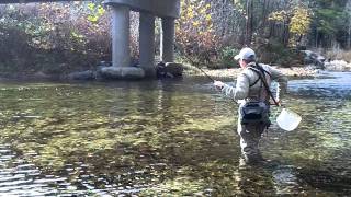 Tenkara Fly Fishing Wilson Creek NCmp4 [upl. by Atimed450]