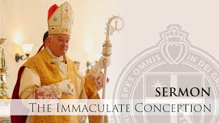 Sermon  Plentitude of Grace  His Excellency Bishop Fellay  Immaculate Conception [upl. by Benjie]