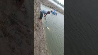 Shrimp baby seed shifting fishing seafoodrecipes crabe [upl. by Erving]