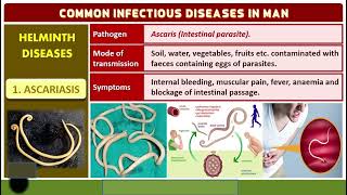 ELEPHANTIASIS amp ASCARIASIS CBSE CLASS 12 BIOLOGY TAMIL [upl. by Kale]