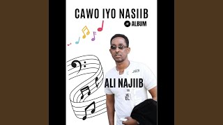 Cawo Iyo Nasiib [upl. by Kyl]