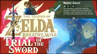 Trial of the Sword DLC 100  The Legend of Zelda Breath of the Wild ALL 45 ROOMS [upl. by Lerad477]