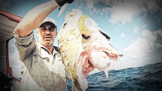 MON POISSON VICTIME DUNE ATTAQUE DE REQUIN  Cyril Chauquet [upl. by Yttap]