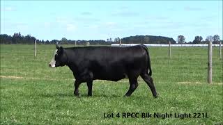 Lot 4 RPCC Blk Night Light 221L [upl. by Litman]