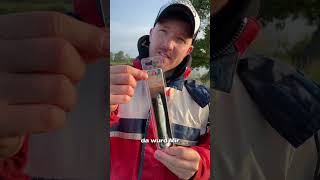 Wie ist der neue im Verein bei dir  angeln fishing anglerfish comedyvideo [upl. by Chansoo30]