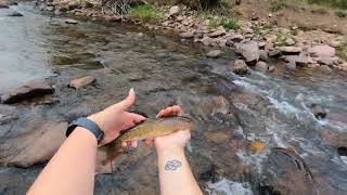 North Uintas Tenkara Fishing [upl. by Redla]